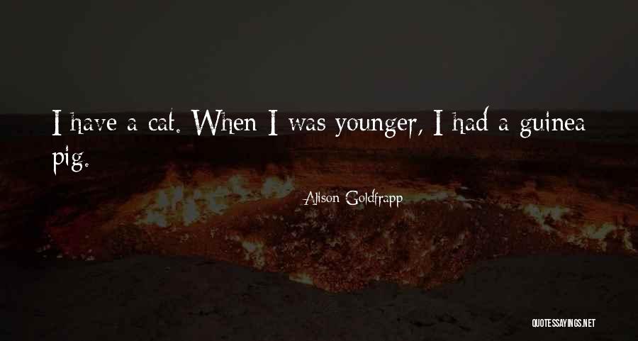 Alison Goldfrapp Quotes 1308029 Alison Goldfrapp Quotes 1308029