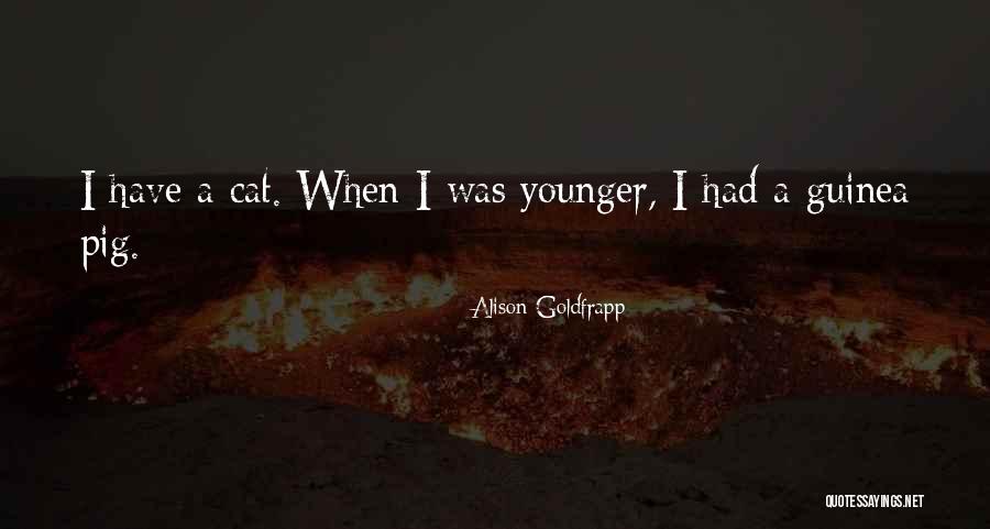 Alison Goldfrapp Quotes 1308029