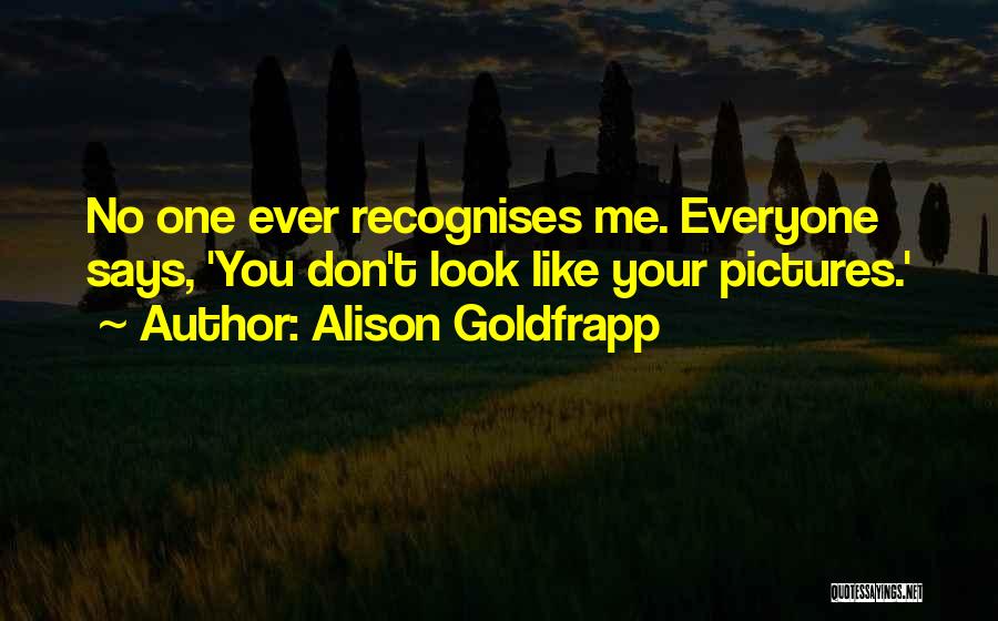 Alison Goldfrapp Quotes 207654