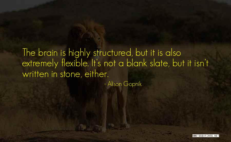 Alison Gopnik Quotes 1211088