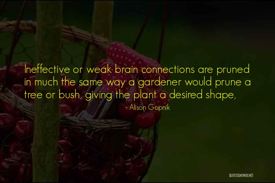 Alison Gopnik Quotes 430700 Alison Gopnik Quotes 430700