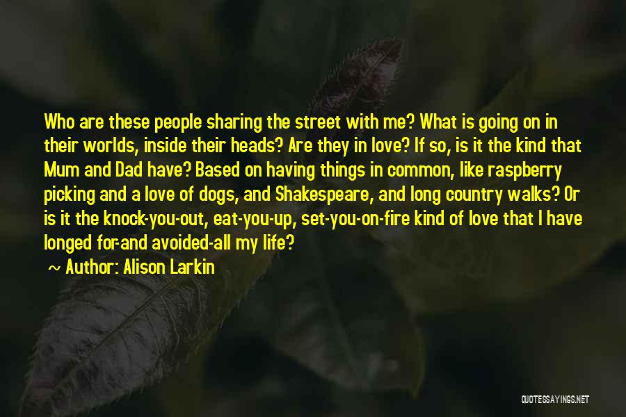 Alison Larkin Quotes 1830466