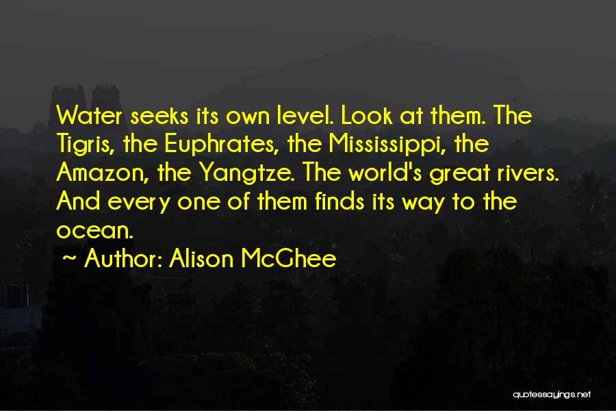 Alison McGhee Quotes 291880