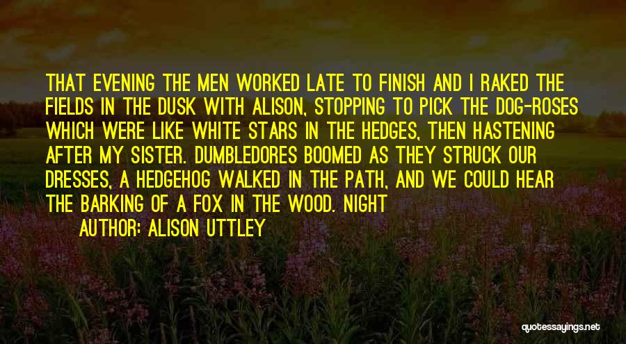 Alison Uttley Quotes 1366882