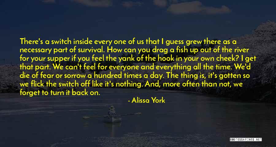 Alissa York Quotes 1904778