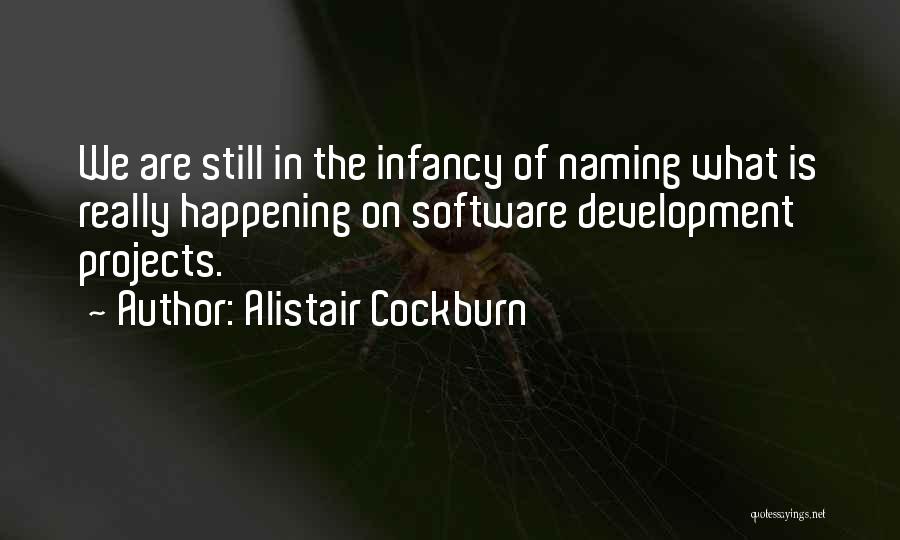 Alistair Cockburn Quotes 2185003