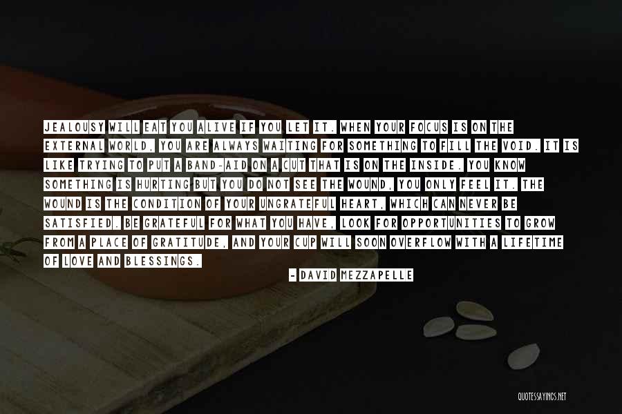 Alive And Grateful Quotes By David Mezzapelle Alive And Grateful Quotes By David Mezzapelle