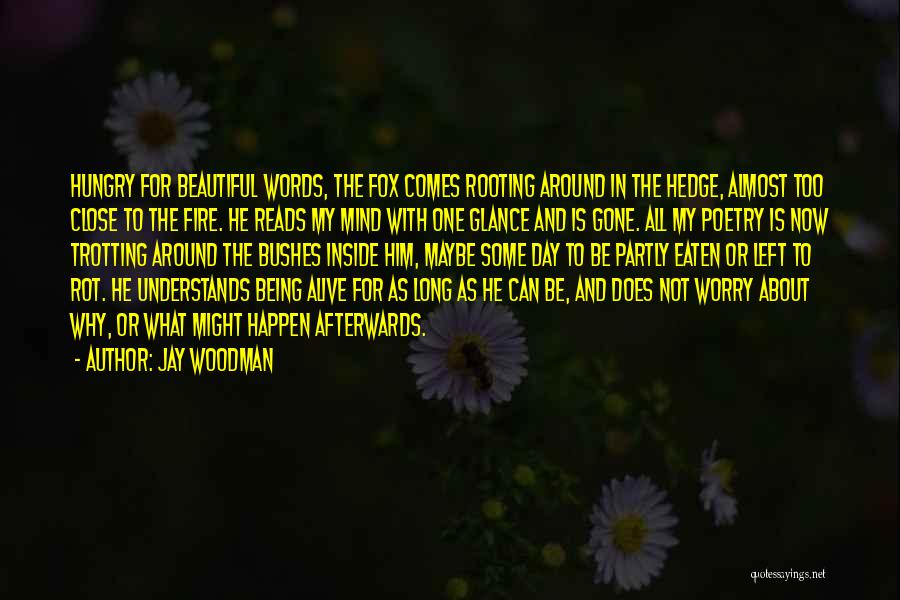 Alive Inside Quotes By Jay Woodman