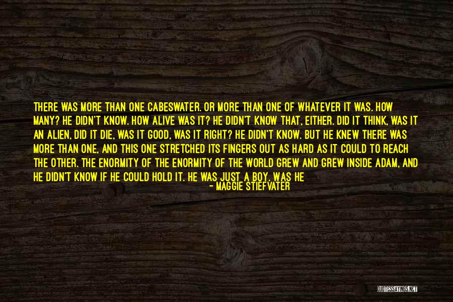 Alive With Energy Quotes By Maggie Stiefvater Alive With Energy Quotes By Maggie Stiefvater
