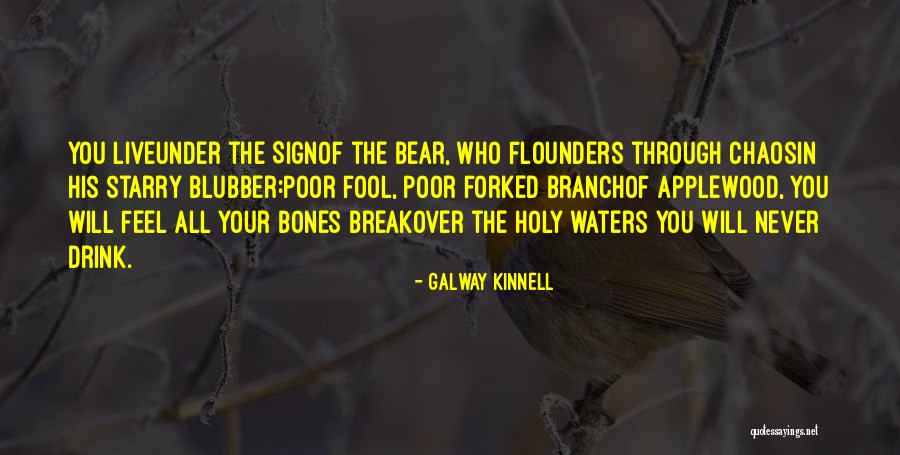 Alivie Raygans Quotes By Galway Kinnell Alivie Raygans Quotes By Galway Kinnell