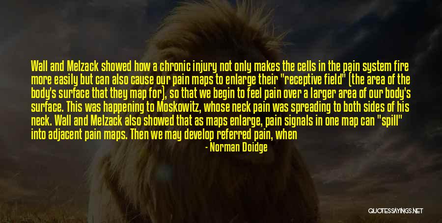 Aliwan Quotes By Norman Doidge Aliwan Quotes By Norman Doidge