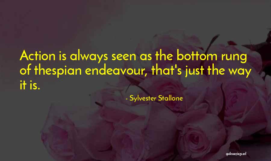 Aliyeva Sara Quotes By Sylvester Stallone Aliyeva Sara Quotes By Sylvester Stallone