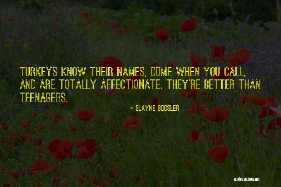 Alkhas Khametov Quotes By Elayne Boosler Alkhas Khametov Quotes By Elayne Boosler