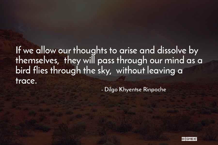 Alkhatib Hassan Quotes By Dilgo Khyentse Rinpoche Alkhatib Hassan Quotes By Dilgo Khyentse Rinpoche