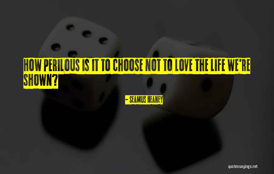 Alkies Lapas Quotes By Seamus Heaney Alkies Lapas Quotes By Seamus Heaney