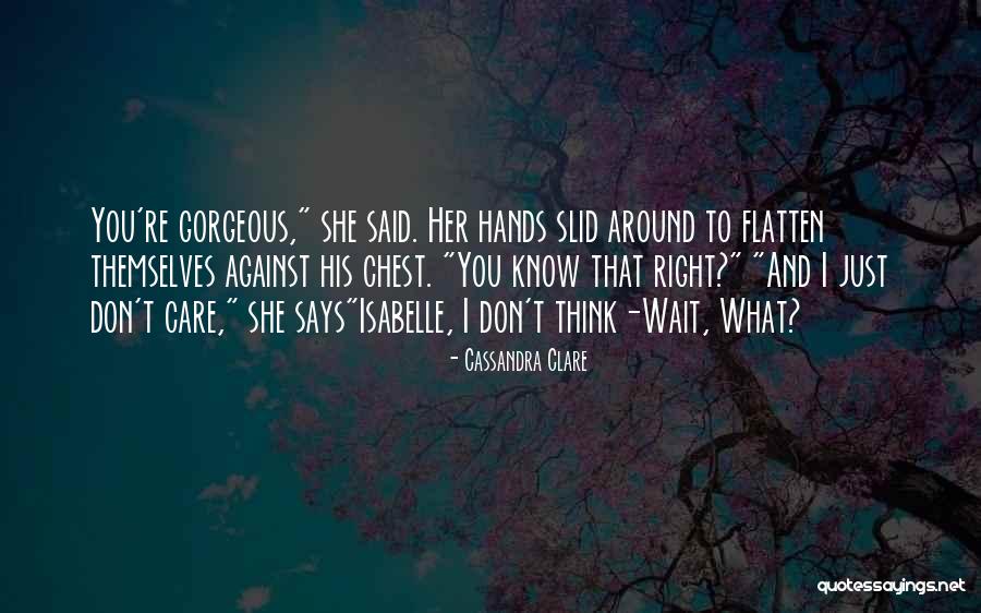 Alkinoos Armoundas Quotes By Cassandra Clare Alkinoos Armoundas Quotes By Cassandra Clare