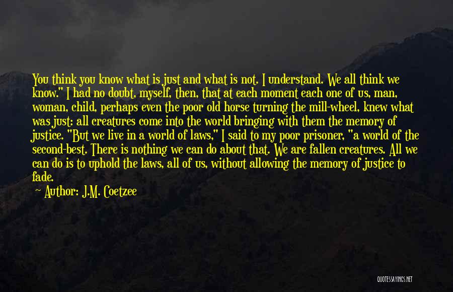 All About Myself Quotes By J.M. Coetzee