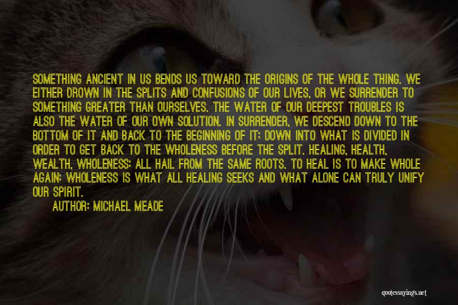 All Alone Again Quotes By Michael Meade