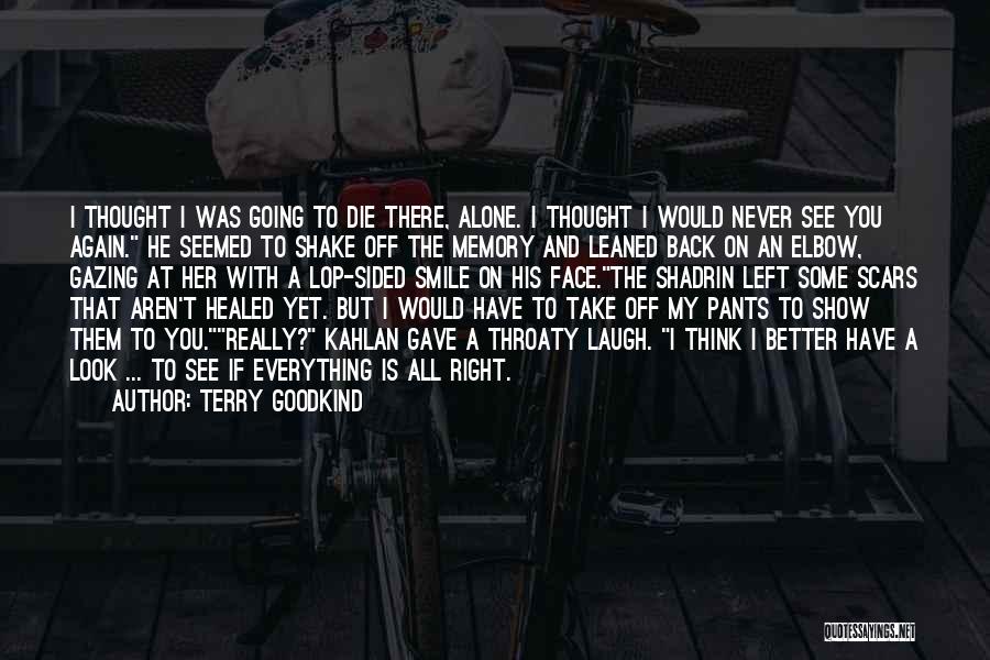 All Alone Again Quotes By Terry Goodkind