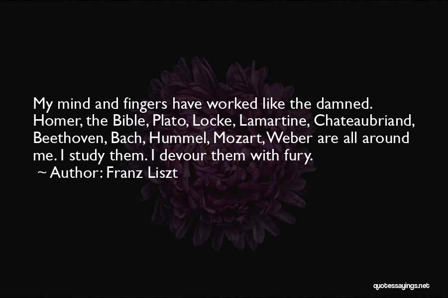 All Around Quotes By Franz Liszt