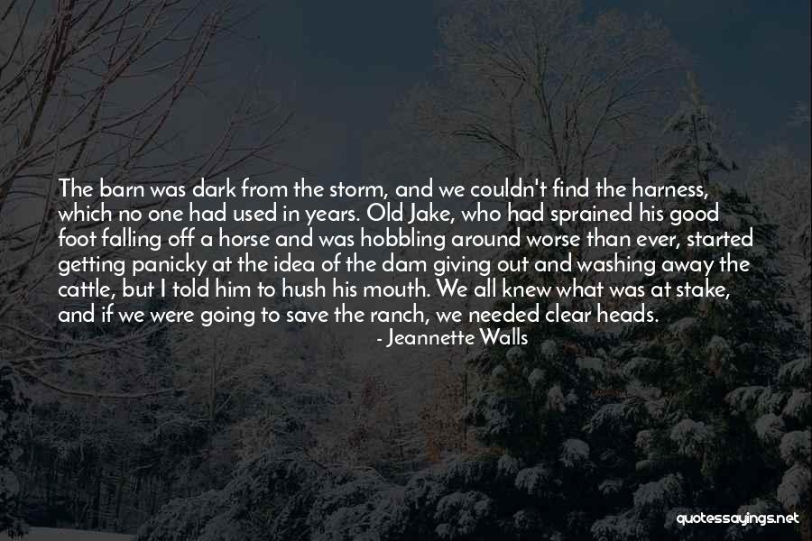 All Around Quotes By Jeannette Walls