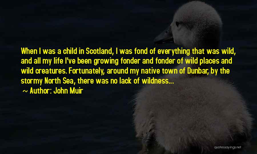 All Around The Town Quotes By John Muir