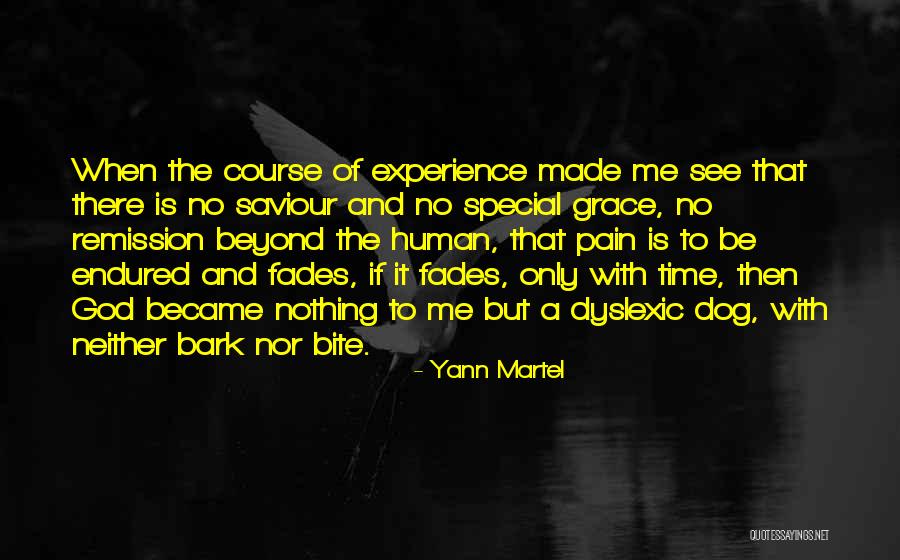 All Bark No Bite Quotes By Yann Martel