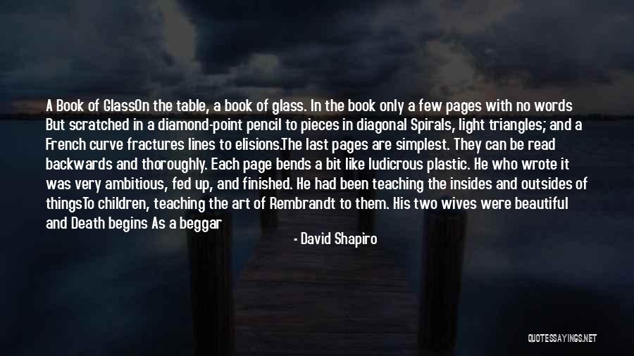 All Beautiful Things Quotes By David Shapiro