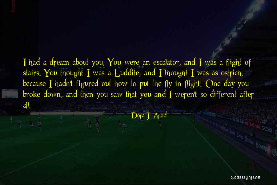 All Broke Down Quotes By Dora J. Arod All Broke Down Quotes By Dora J. Arod