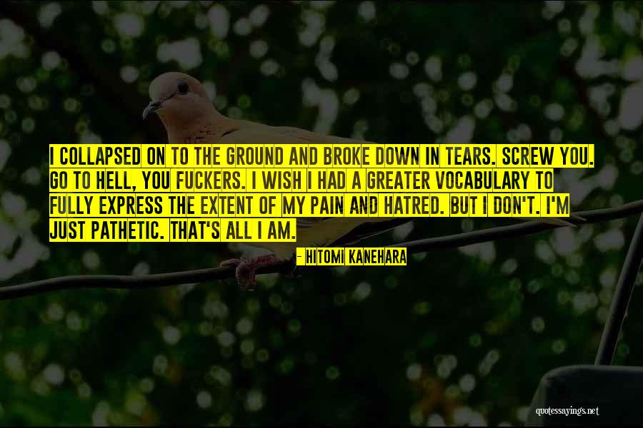 All Broke Down Quotes By Hitomi Kanehara All Broke Down Quotes By Hitomi Kanehara