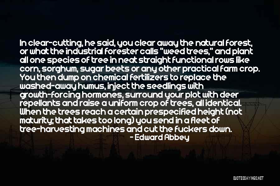 All Clear Quotes By Edward Abbey