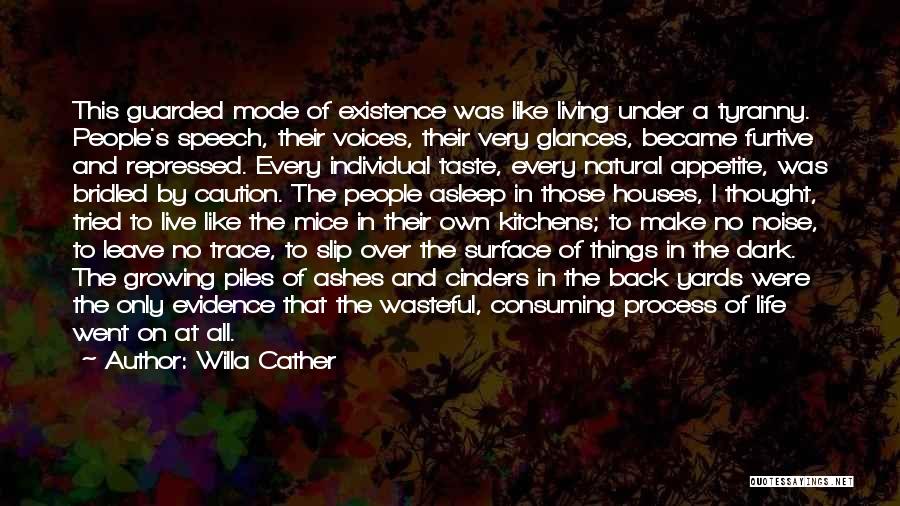All Consuming Quotes By Willa Cather