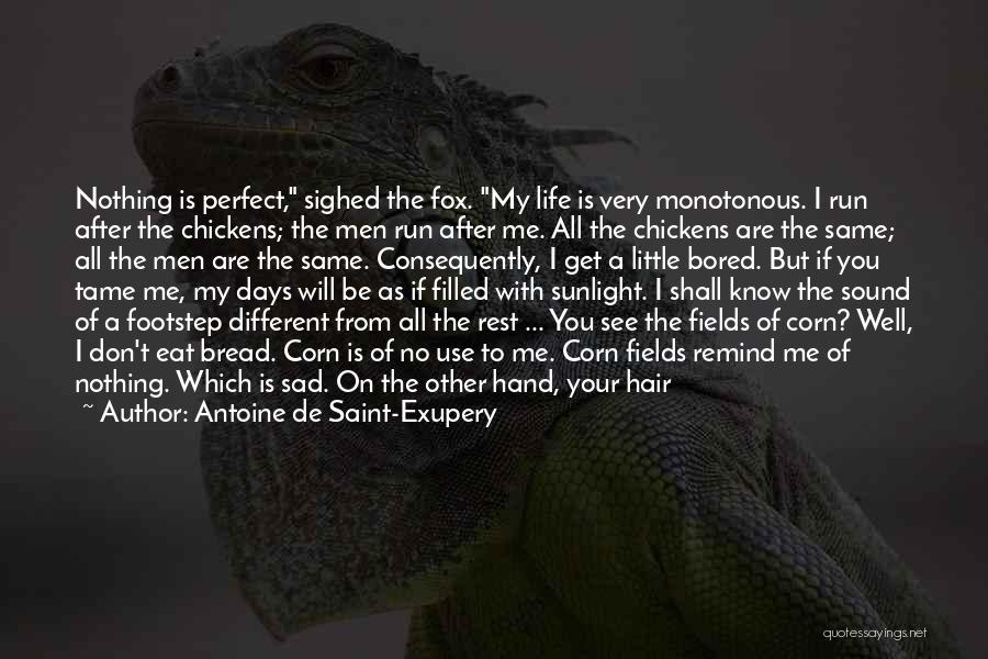 All Days Are Same Quotes By Antoine De Saint-Exupery