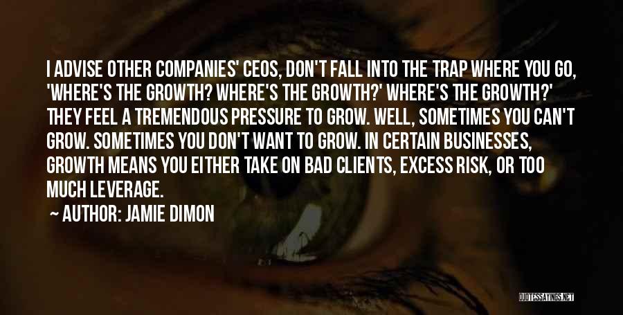 All Excess Is Bad Quotes By Jamie Dimon