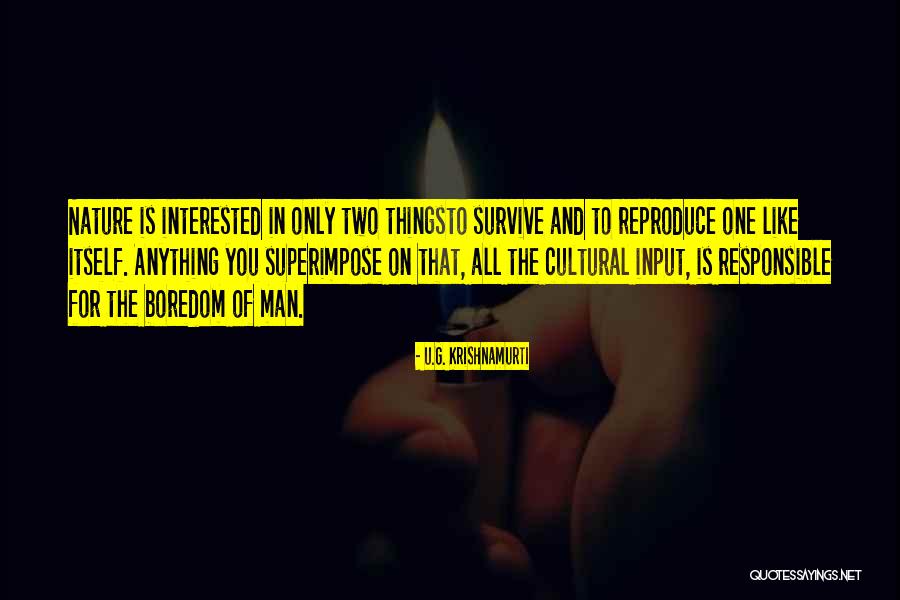 All G Man Quotes By U.G. Krishnamurti All G Man Quotes By U.G. Krishnamurti
