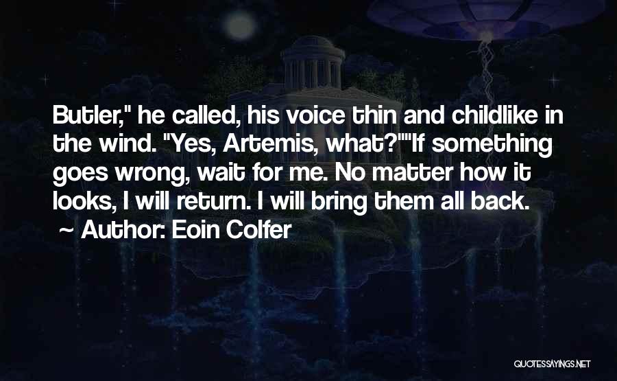 All Goes Wrong Quotes By Eoin Colfer