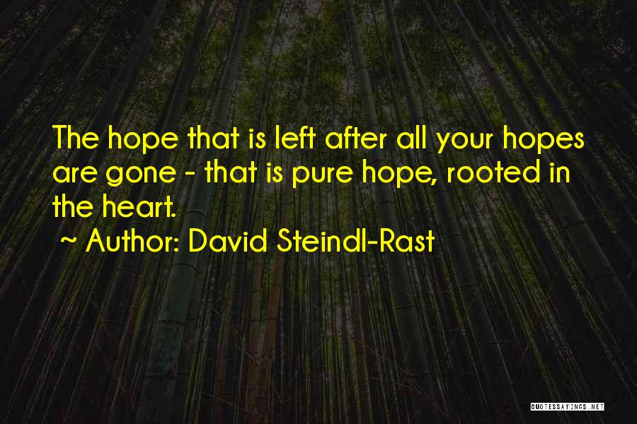 All Hope Gone Quotes By David Steindl-Rast