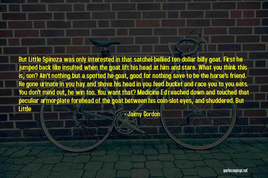 All Horse Armor Quotes By Jaimy Gordon All Horse Armor Quotes By Jaimy Gordon