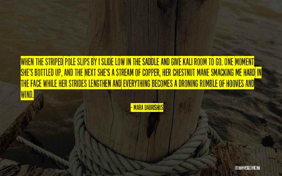 All Horse Racing Quotes By Mara Dabrishus All Horse Racing Quotes By Mara Dabrishus