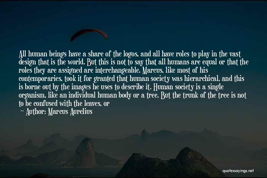 All Human Are Equal Quotes By Marcus Aurelius