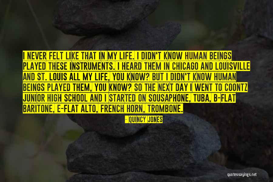 All Human Beings Quotes By Quincy Jones All Human Beings Quotes By Quincy Jones
