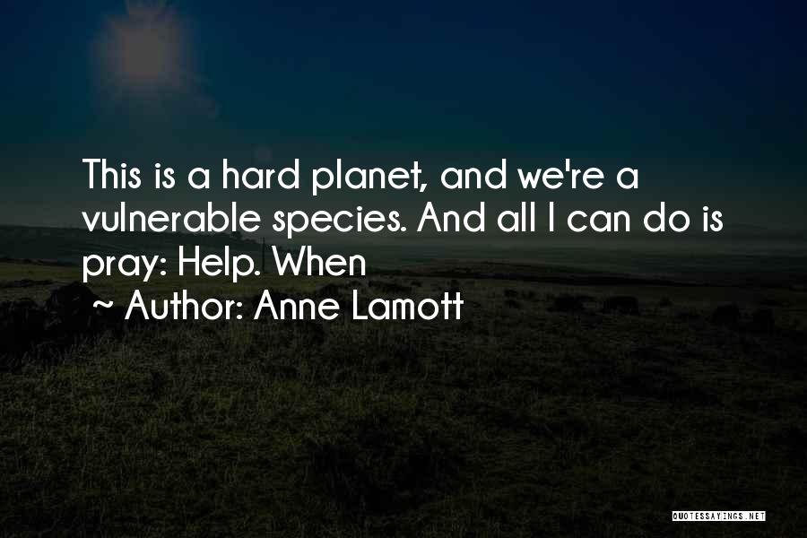 All I Can Do Is Pray Quotes By Anne Lamott