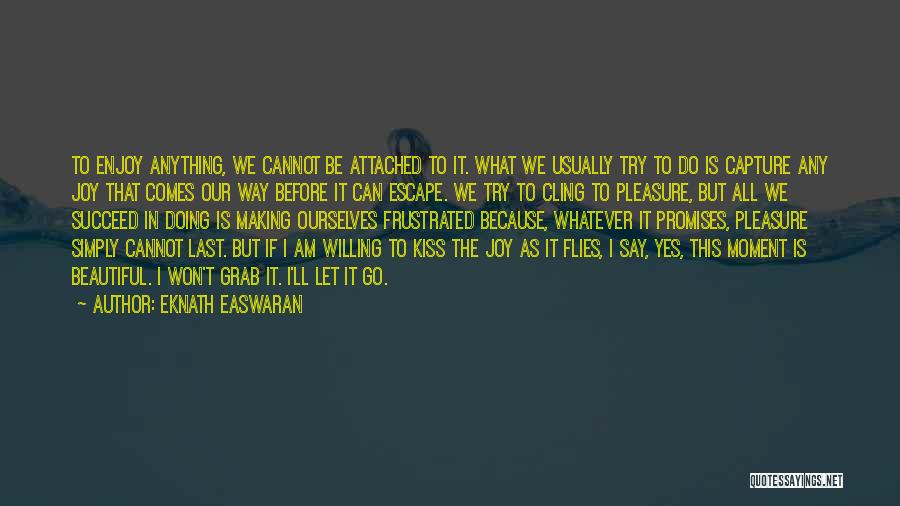 All I Can Do Is Try Quotes By Eknath Easwaran