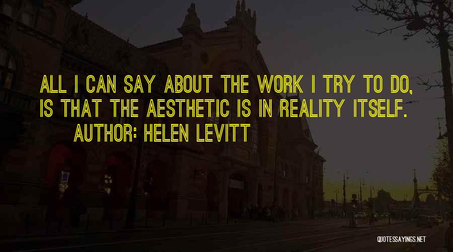 All I Can Do Is Try Quotes By Helen Levitt