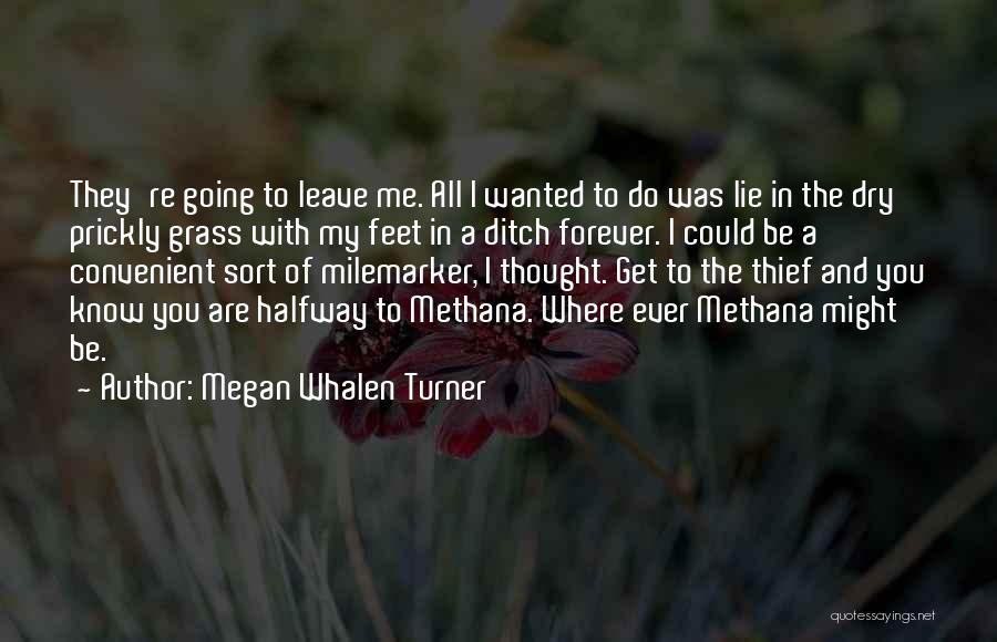 All I Ever Wanted Quotes By Megan Whalen Turner