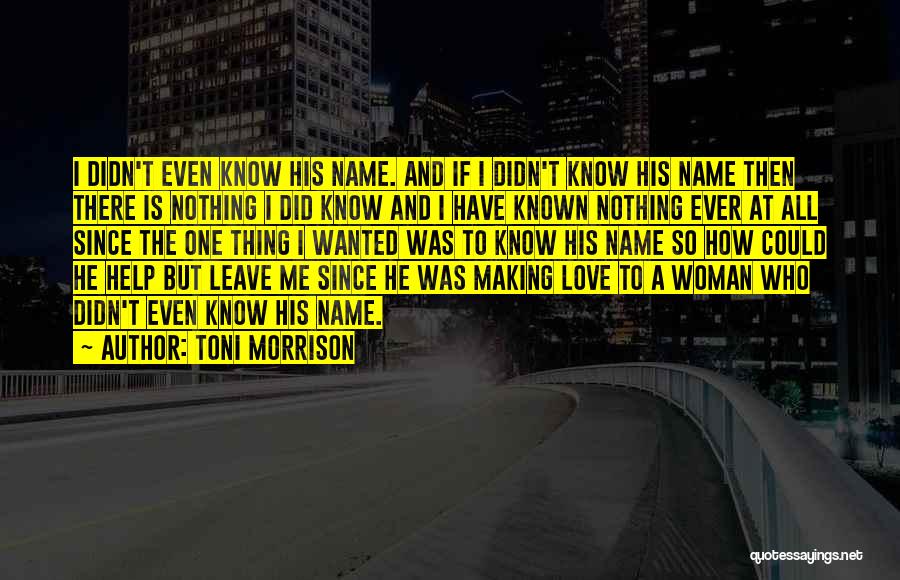 All I Ever Wanted Quotes By Toni Morrison