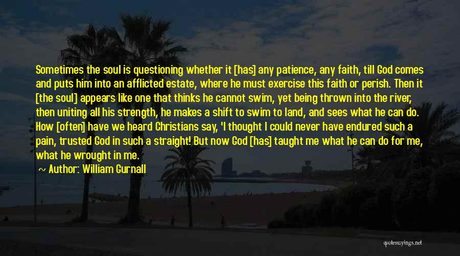 All I Have Is Faith Quotes By William Gurnall