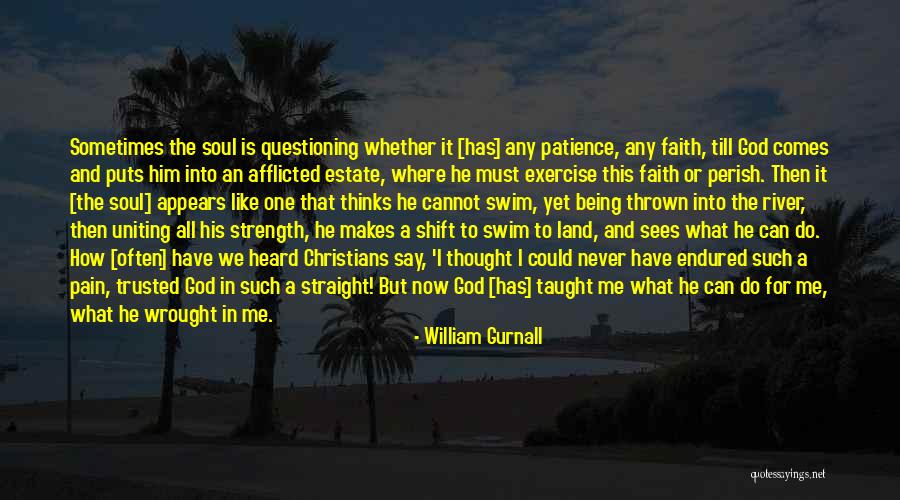 All I Have Is Faith Quotes By William Gurnall