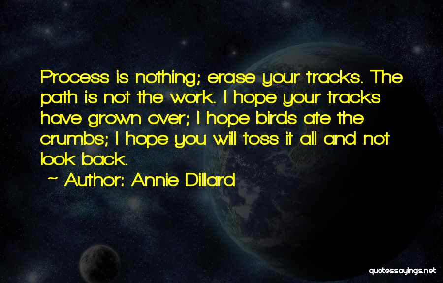 All I Have Is Hope Quotes By Annie Dillard