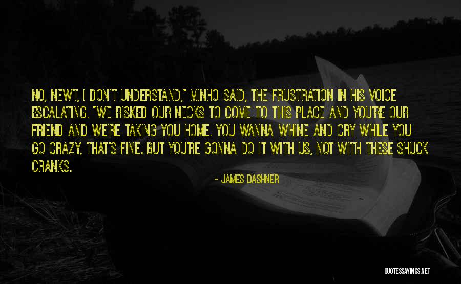 All I Wanna Do Is Cry Quotes By James Dashner